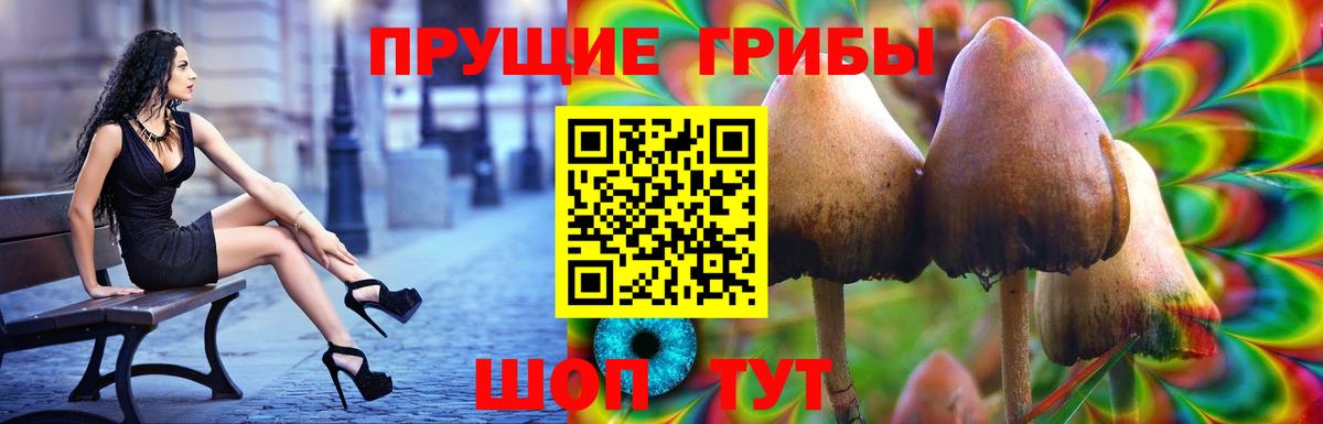Феодосия  Псилоцибиновые грибы Magic Shrooms  Вход с VPN  Псилоцибиновые грибы MAGIC MUSHROOMS 